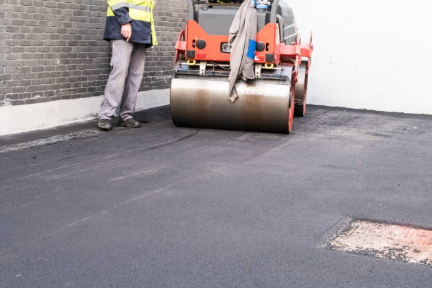 Professional Driveway Paving Services in Dunlap, IL